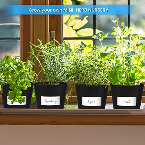 ABOUT SPACE Planter Pot - 4 Inch Plastic Flower Pots with Drain Hole for Succulents,Foliage Plants & Saplings - Nursery Pots for Indoor,Outdoor,Balcony,Garden,Home Decor (6 Pcs) Black - Only Pots