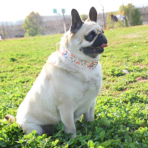 Metal Buckle Dog Collar, Durable Adjustable Dog Collar Soft For Small Medium Large Dogs (M(13-18In), Flower3) #TOP2