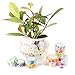 Knaid Floral Washi Tape Set, Assorted 12 Rolls of Spring Flower Decorative Paper Tapes for Arts and DIY Crafts, Scrapbooking, Bullet Journal, Planner, Gift Wrapping, Holiday Decoration
