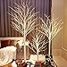 Lightshare Lighted Birch Twig Tree with Fairy Lights 4FT, 6FT and 8FT, Pack of 3 Warm White for Indoor Outdoor Home Christmas Holiday Decoration