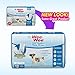Four Paws Wee-Wee Super Absorbent Disposable Adjustable Dog Potty Training Male Wraps Diapers, Leak-Proof Protection for Puppies and Small Dogs, Extra Small, 12 Count