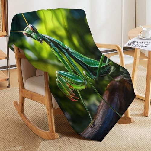 Couverture chaude en flannel légère et isolante pour lit frileux