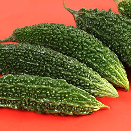 NurseryServe Organic Desi Bitter Gourd Pusa Seeds - (35 Seeds) (B084HG2FH8) Amazon Price History, Amazon Price Tracker