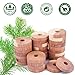 ACMETOP 31 Pack Cedar Blocks for Clothes Storage, 100% Natural Cedar Hangers Balls, Cedar Rings for Closets & Drawers