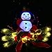 Doingart Outdoor Solar Light Christmas Decorations, Snowman Christmas Light with Faux Red Berry, Foliage Accents Garden Decor Stakes