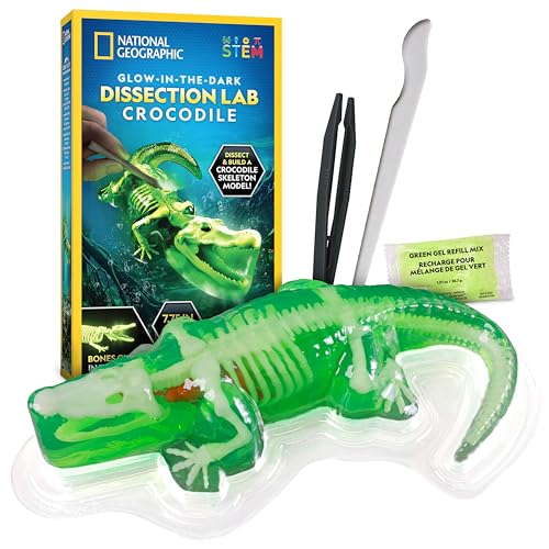 National Geographic Glow in the Dark...