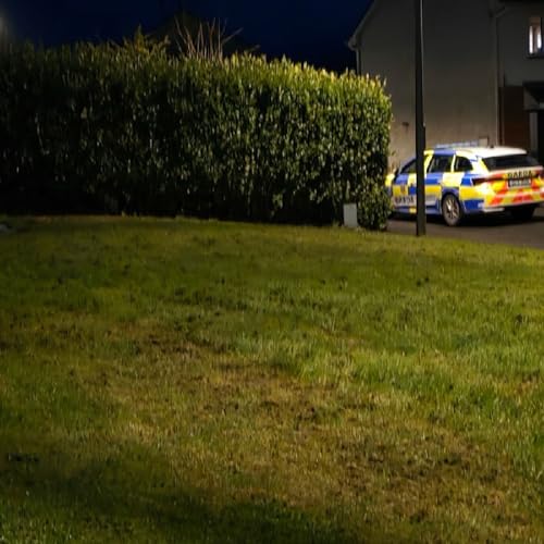 Life in my secure estate E690