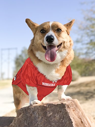 Image of Pets First NE-4006-XXL Nebraska Mesh Jersey, multi, one size