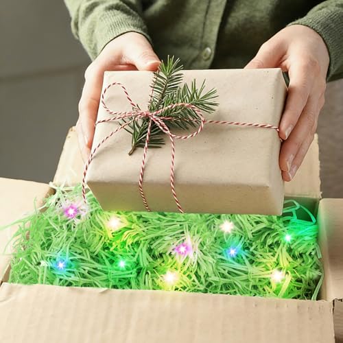 GZGXKJ Ostergras Grün 300g Dekogras Ostern mit Kabelgebundene Lampe Easter Grass Füllmaterial Geschenk Osternest Gras für Osternester Osterdeko Zum Basteln Holzwolle Ostergras