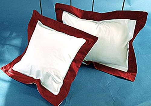 1 Pair Border Pillow Sham Egyptian Cotton 500tc Moss Queen (20 x 30 inch)