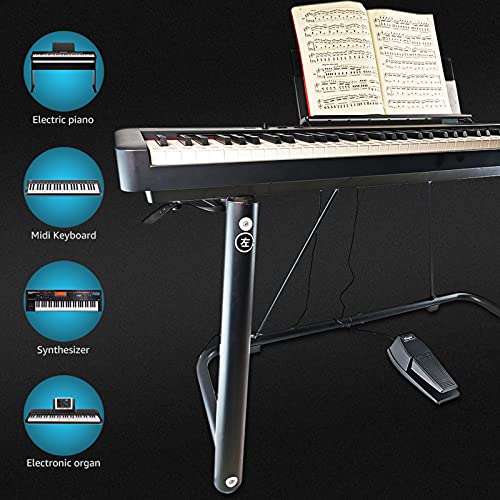 Sustain Pedal For Keyboard,Jinyun Universal Sustain Pedal With Polarity Switch Compatible With Most Digital Pianos, Yamaha, Casio And Midi Keyboards(Black) #TOP6