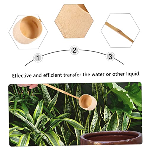 Cuchara de té de madera mango largo para servir café 4