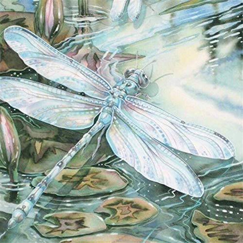 Dragonfly Paint by Number Kits Kritters in the Mailbox