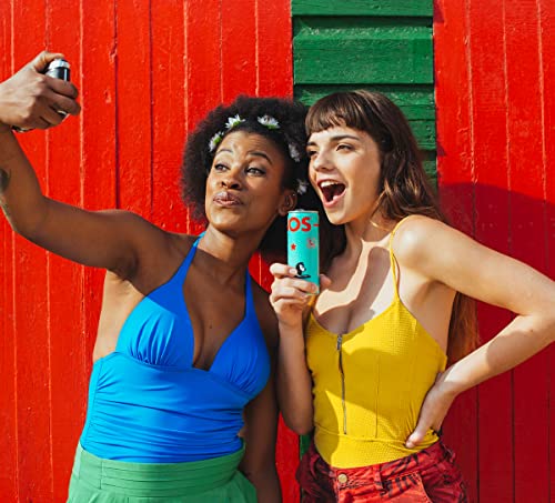 Bos Rooibos Iced Tea | Organic, Antioxidant Rich & Naturally Caffeine Free (Lime & Ginger 24-Pack) #TOP1