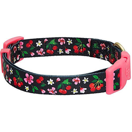 Blueberry Pet 7 Patterns Cherry Garden Black Adjustable Dog Collar with Dainty Flowers, X-Small, Neck 8"-11" - Image 6