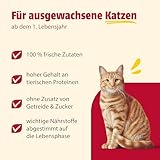 animonda Carny Katzen Nassfutter, Sorten Mix 'Kräftige Variation' (12 x 400g), getreidefreies Katzennassfutter ohne Zucker für ausgewachsene Katzen mit frischen fleischigen Zutaten