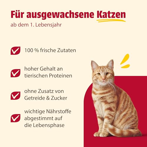 animonda Carny Katzen Nassfutter Multifleisch-Cocktail (6 x 400g), getreidefreies Katzen Nassfutter ohne Zucker, mit frischen fleischigen Zutaten