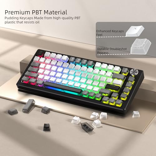 Image of Womier PBT Shine Through Keycaps for Mechanical Keyboard, Pudding Keycaps | Keycaps 60% 75% 100% Keyboard 143 Keys,Custom Keycap Set OEM Profile for Gateron Cherry MX Switches,Gray White-Only Key caps