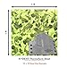 KYDEX Thermoform Sheet - (P1 Texture) - (Infused Print) - (12in x 12in) - (Reaper H2O XL - Toxic Yellow) - (1 Sheet) - (for Holster Making & Hobby) - (USA Made)