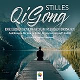 Stilles Qi Gong: Die Lebensenergie zum Fließen bringen. Anleitungen für innere Ruhe, Regeneration und Vitalität