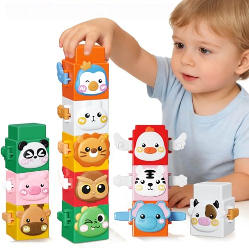 Beria Toys for Toddler 2+ Year Old Building Stacking Blocks Toys