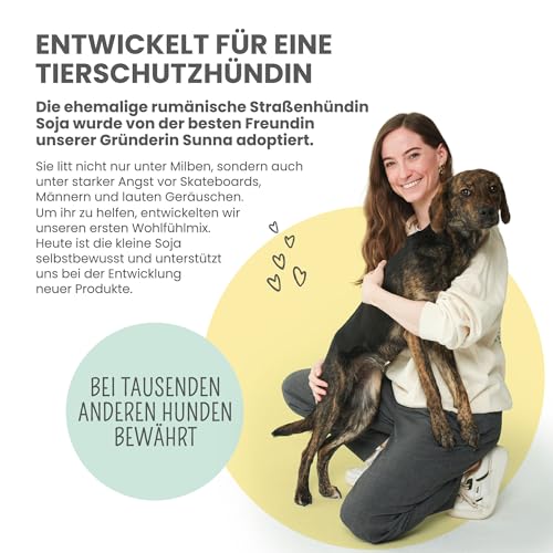 noms+ Wohlfühltabs - Beruhigungsmittel für Hunde bei Stress, Angst, Unruhe und Hyperaktivität | natürliche Entspannung mit Hanföl, Baldrian, Johanniskraut, Passionsblume & Ashwagandha