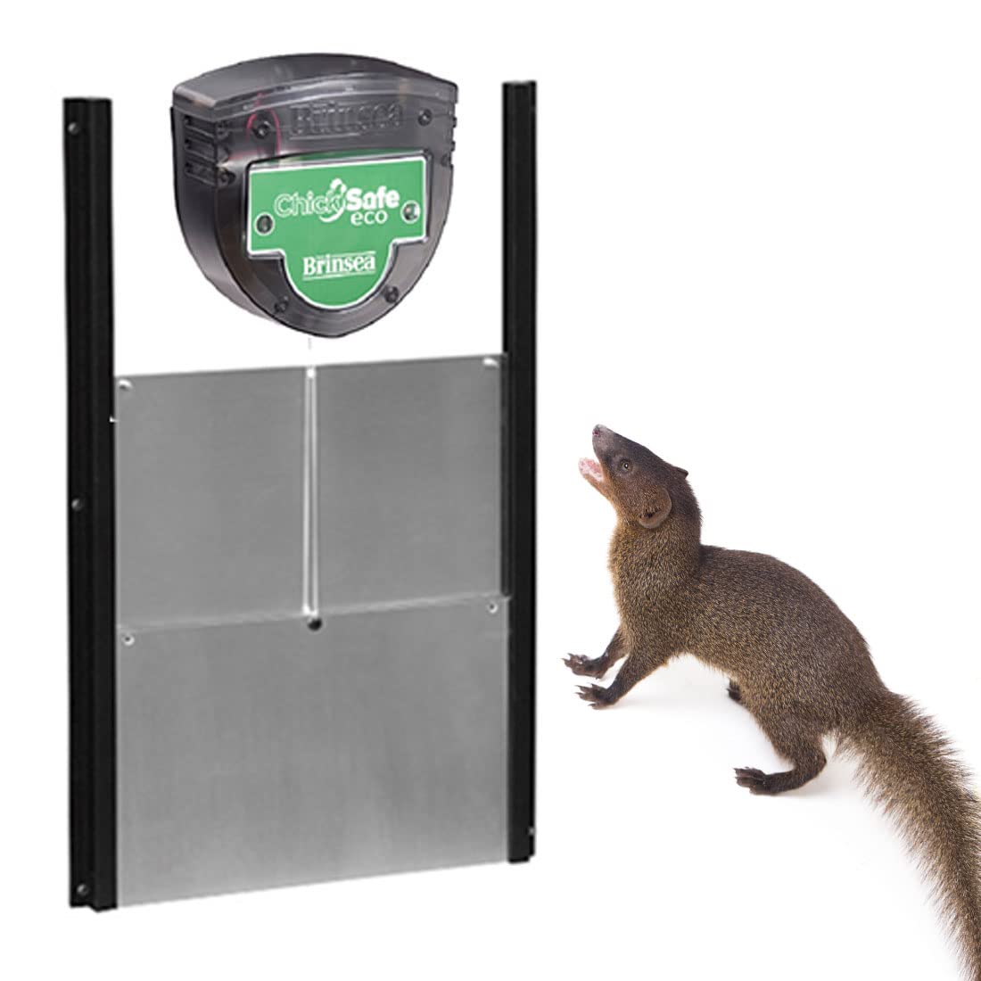Puerta automática gallinero BRINSEA Chicksafe Eco + Puerta de Aluminio. Gallinas Felices y a Salvo de Depredadores