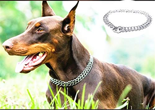 JYHY - Collar para Perro, Cadena en Forma de P y Cadena de Metal de Hierro y Doble Fila, para Entrenar a los Perros pequeños, medianos y Grandes