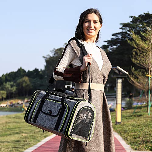 HOTLANTIS Trasportino per Gatti Trasportini per