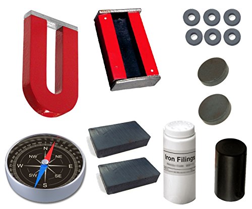 The Curious Brain Magnet Set- Multi Color