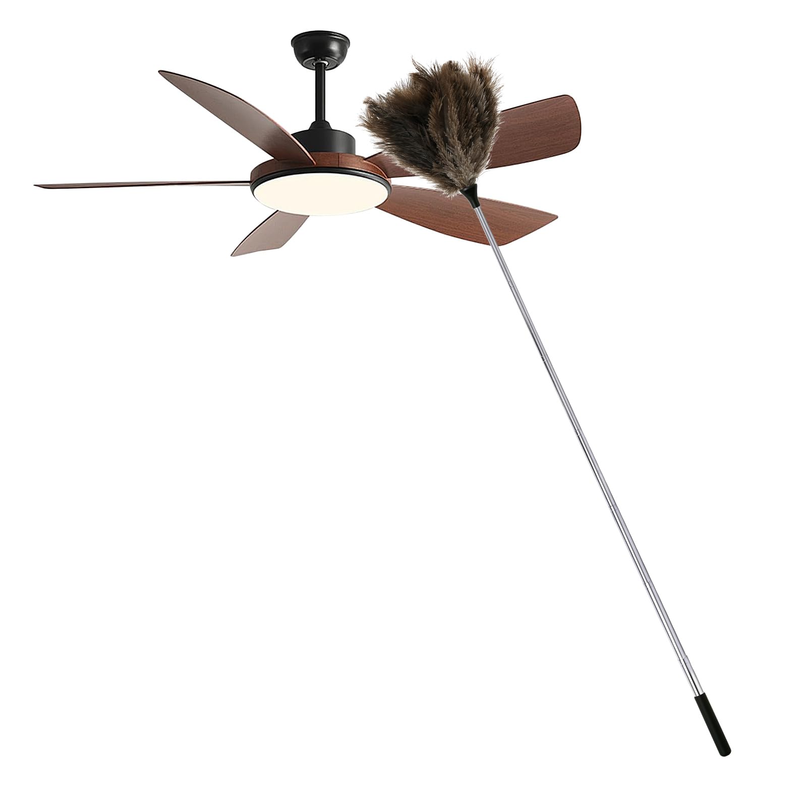 Lulobtg Black 110Cm Ostrich Feather Duster, Extendable Dusters With Metal Handle, Anti Static Feather Dusters For Office Cleaning High Ceilings, Fans, Furniture, Blinds, Roof Dusting(Black 116Cm)