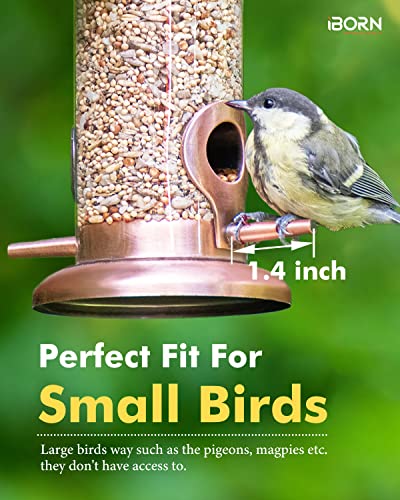 Iborn Metal Bird Feeder Hanging Wild Bird Feeders For Mix Seed Blends Heavy Duty All Metal Finishing, Copper Finish, 8 Inch 2 Port (Seed Is Not Included) #TOP2
