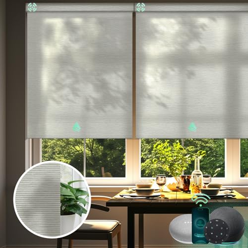 Yoolax GR-09 Motorized Smart Blinds cover