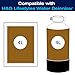 H&G lifestyles Mixed Bed Resin DI Resin Filter Cartridge Refill for Spotless Water Car Washing Water System Spotfree Rinse Deionized Water Replacement for Water Deionizer