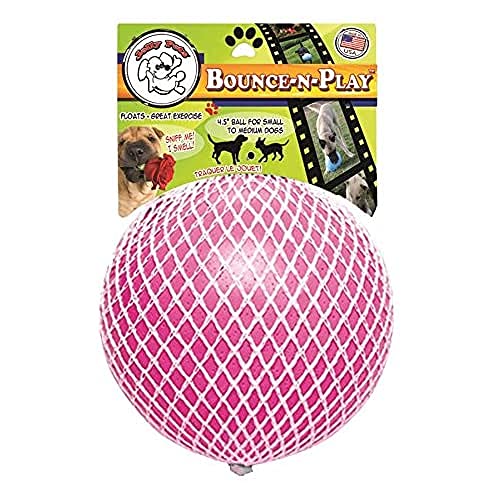 Jolly Ball für Hunde Die 15 besten Produkte im Vergleich HundeINFOPortal