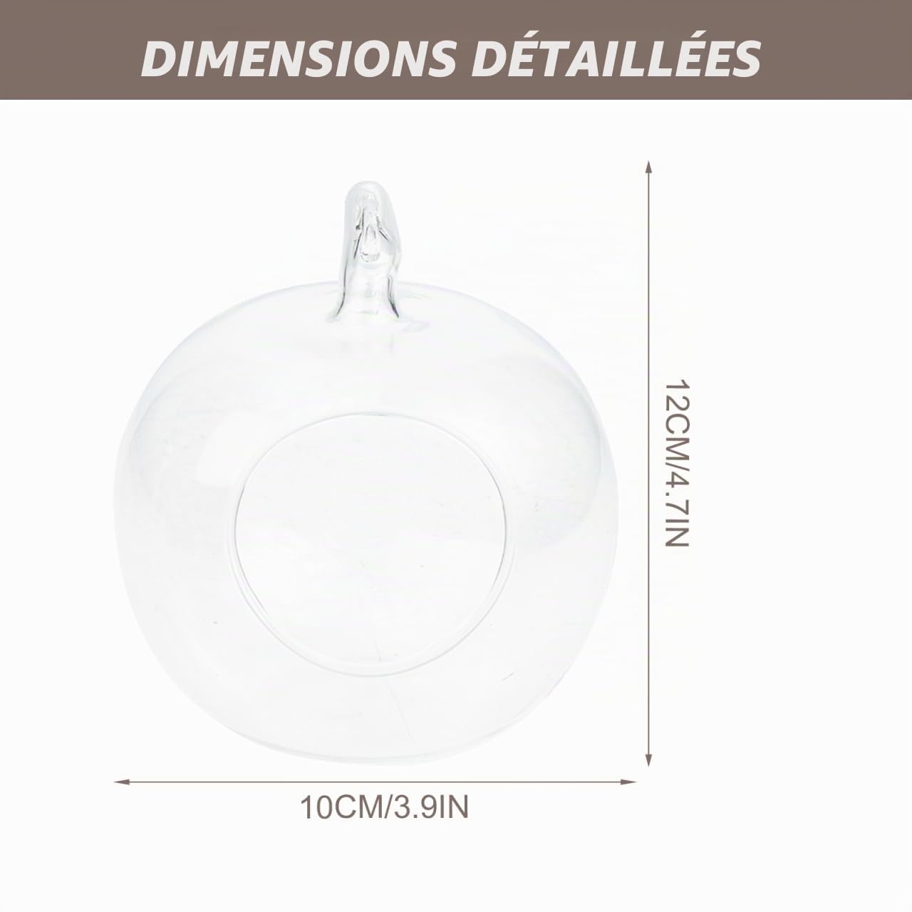 Yardwe Vase en Verre en Forme De Pomme 4.72X3.94 Pouces Récipient Hydroponique Écologique Décoratif pour Plantes Micro Paysage Maison Bureau Jardin
