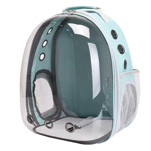 Ghbunuz FybgLrAeʁAobNpbNALybgobOAFDJvZ^ybgobNpbNA܂肽ݎŒʋCALpiL (F)