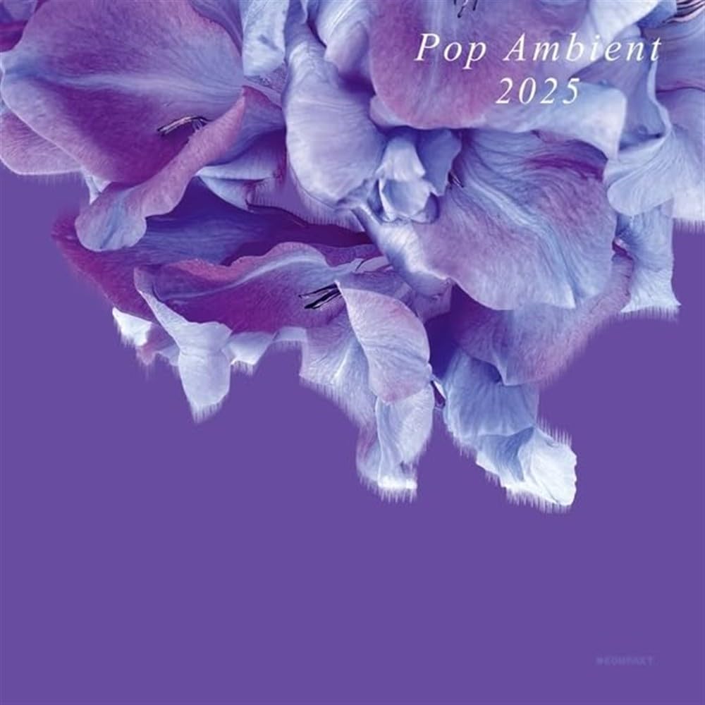 VARIOUS - Pop Ambient 2025 - Vinyl (LP + MP3 download code)