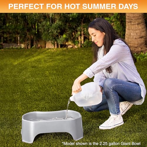 Image of Neater Pet Brands Extra Large Water Bowl for Dogs, Outdoor Dog Water Bowl (1.25 Gallon XL Capacity), Big Trough Style Food Dish for Indoors or Outside, No Spill Large Dog Bowls, Vanilla Bean