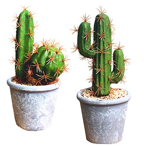 Fycooler Artificial Succulent Plants,Fake Cactus Decorative Plants - Artificial Cacti With Gray Pots Planters,Artificial Faux Cactus For Home Décor House Office Ornaments #TOP10