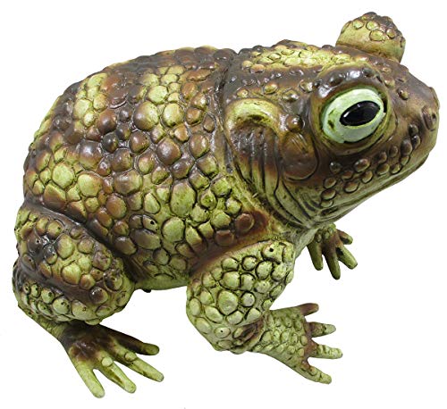 Nicky Bigs Novelties Giant Rubber Toad Prop Statue - Fake Frog Animal Decoration, Multi, 10 Inches Long #TOP2