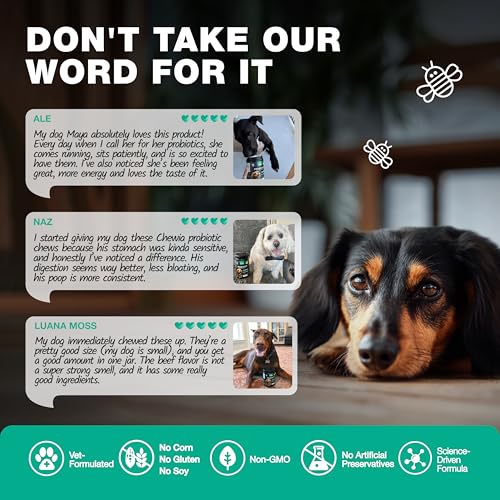 Image of Probiotics for Dogs Gut Health, Digestion, Immunity, Yeast Balance, Itchy Skin, Allergies Support - Dog Probiotic Chews with Digestive Enzymes for Gut Flora- Soft Treats with Pumpkin and Yeast Powder