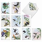 The Best Card Company M10034BK 