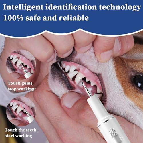 Pet Tooth Brushing Kit, Remover for Teeth Dog, Plaque Remover Safe for Dogs and Cats, 3 Modes, Pet Tooth Cleaner Dental Care Tartar Plaque Remover with LED Light (White)