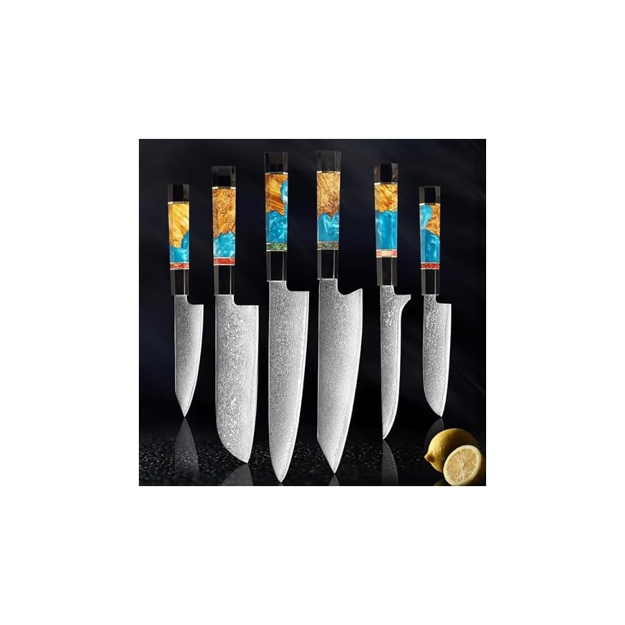 6-Piece Damascus Kitchen Knife Set,Professional Knife Sets for Chefs,Japanese VG-10 Super Steel Knife Set, Blue Resin Handle Razor-Sharp ZILNEHZ