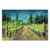 Calidad de impresión duradera: con tintas resistentes a los rayos UV, garantizamos colores vivos y detalles nítidos que embellecen tus paredes de forma permanente y las protegen contra la decoloración.