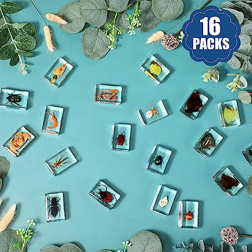 Aburrori YH0085-1 16 Pcs Ocean Animal Insect In Resin Specimen Bugs Collection Paperweights,16 Styles Real Bug Specimen Bug Kit Preserved In Resin thumb #3