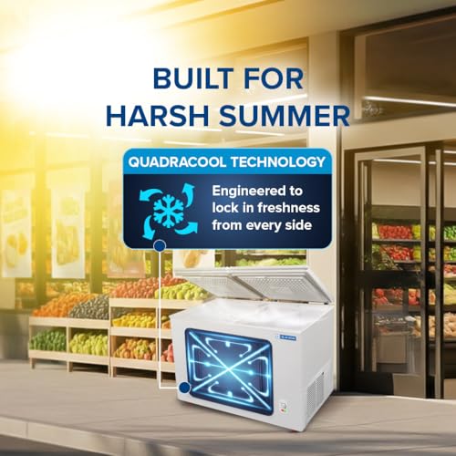Image of Blue Star HT3-M325, 325 Liter Hard Top Double Door Deep Freezer (301 Liter, White, 3-star)