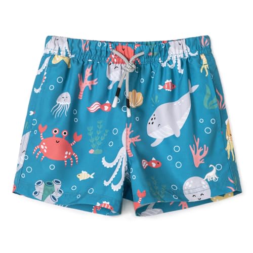 Image of SURF CUZ Boys Swim Trunks Toddler Swim Shorts UPF 50+ Bathing Suit for Boy Swimsuit Quick Dry Mesh Beach Boardshorts Swimwear