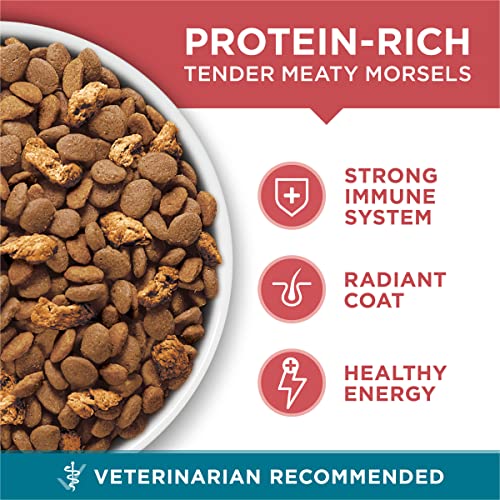 Purina-ONE-Natural-Dry-Cat-Food-Tender-Selects-Blend-With-Real-Salmon-7-lb-Bag